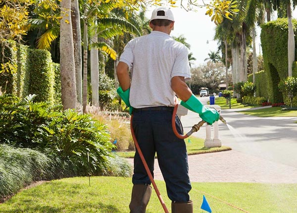About Bucks AL Pest Control